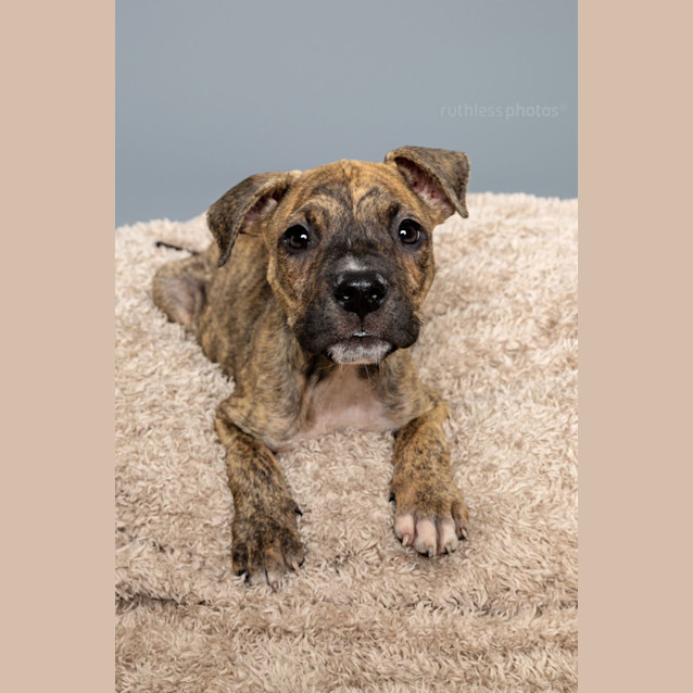 Photo of Zoom