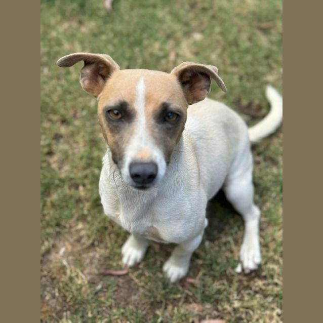 Photo of Miss  Roxy 