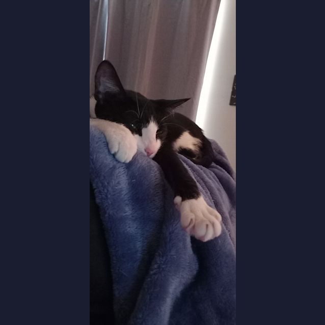 Photo of Flossy