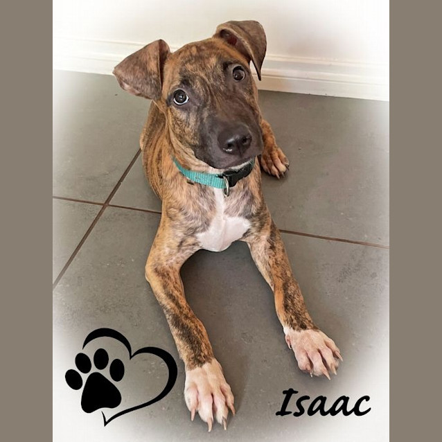 Photo of Isaac