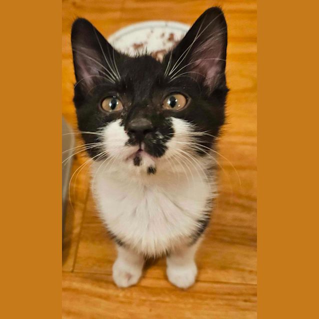 Photo of Sam (Samantha)