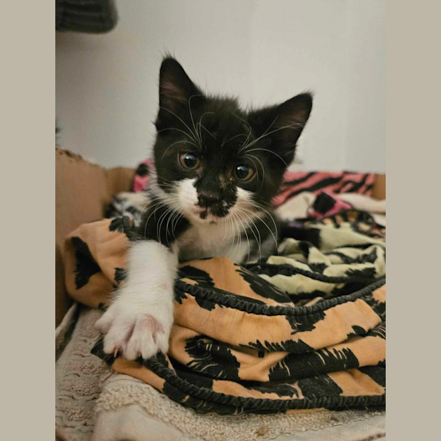 Photo of Sam (Samantha)