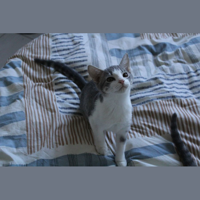 Photo of Angelica
