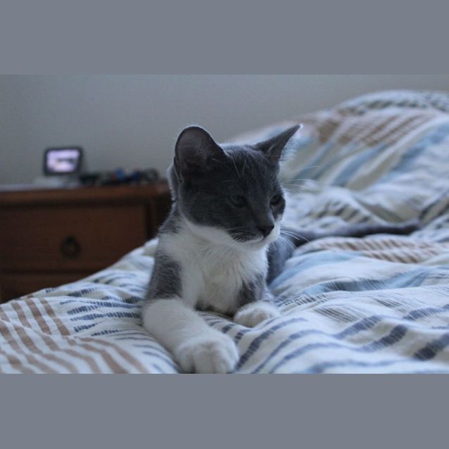 Photo of Tommy