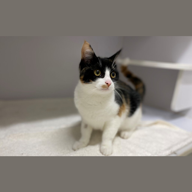Photo of Freya