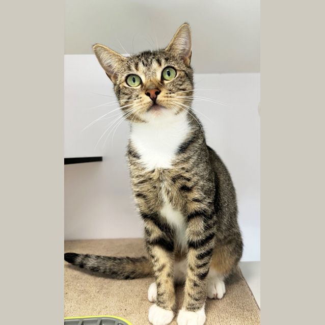 Photo of Ruby Sta012034