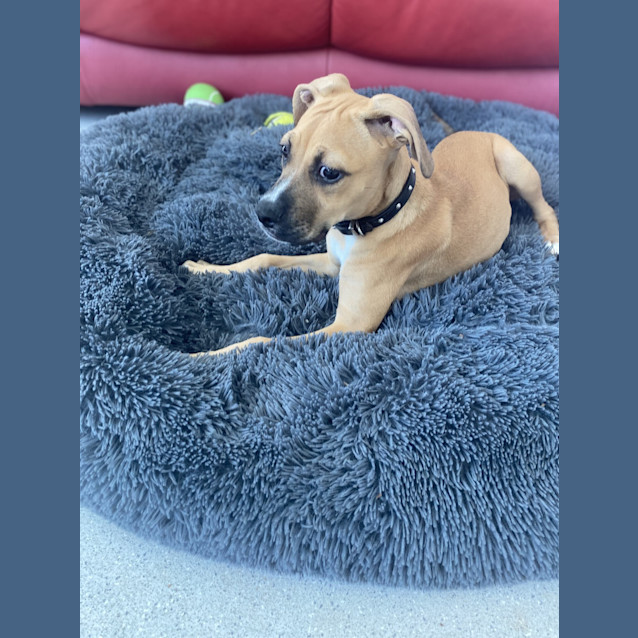 Photo of Hunter