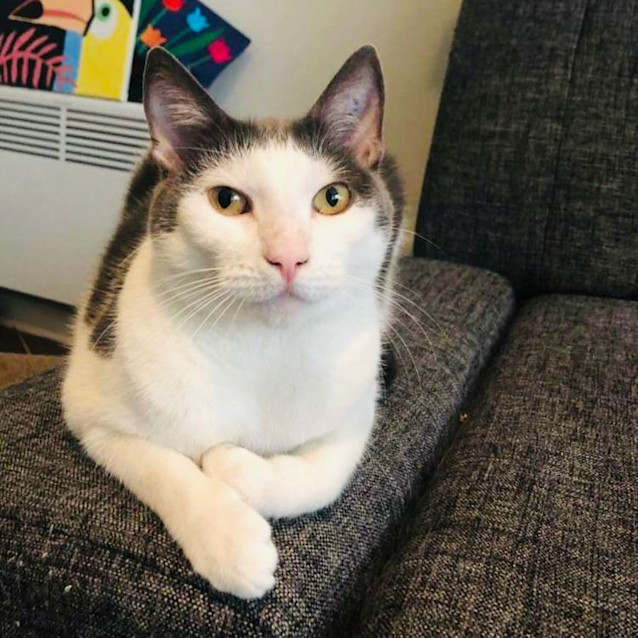 Photo of Alice   Located In St Kilda East