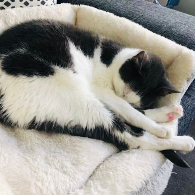 Photo of Alice   Located In St Kilda East