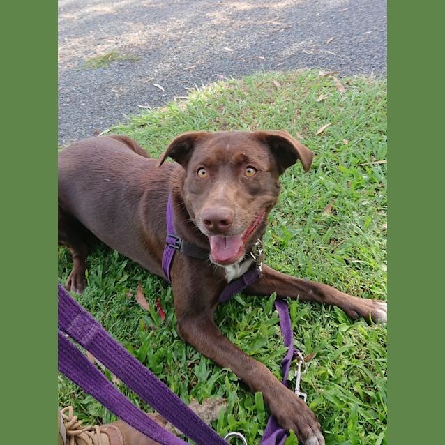 Photo of Coco