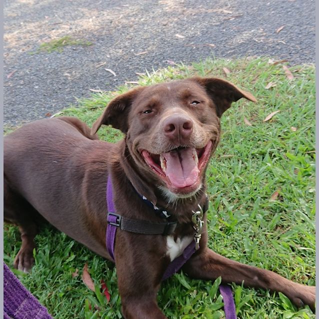 Photo of Coco