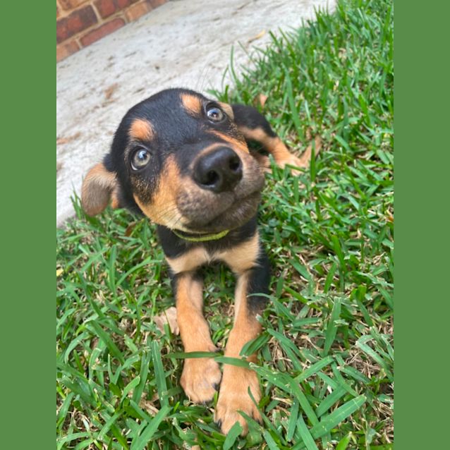 Photo of Ralph