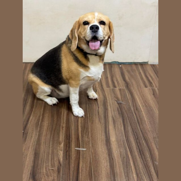 Photo of Willow And Ivy