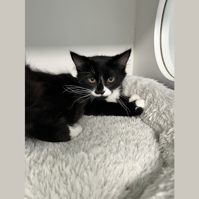 Photo of Morty