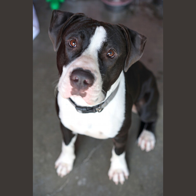 Photo of Junior