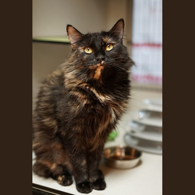 Photo of Astrid