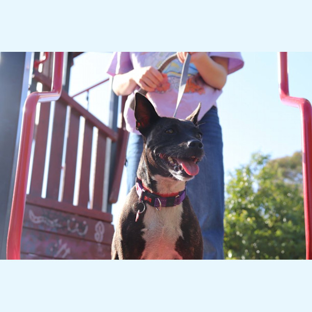 Photo of Deja