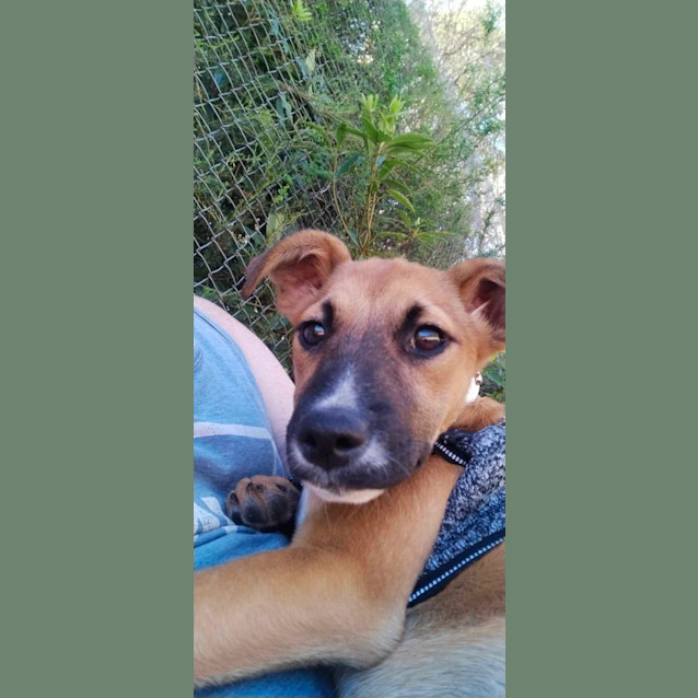 Photo of Mellow