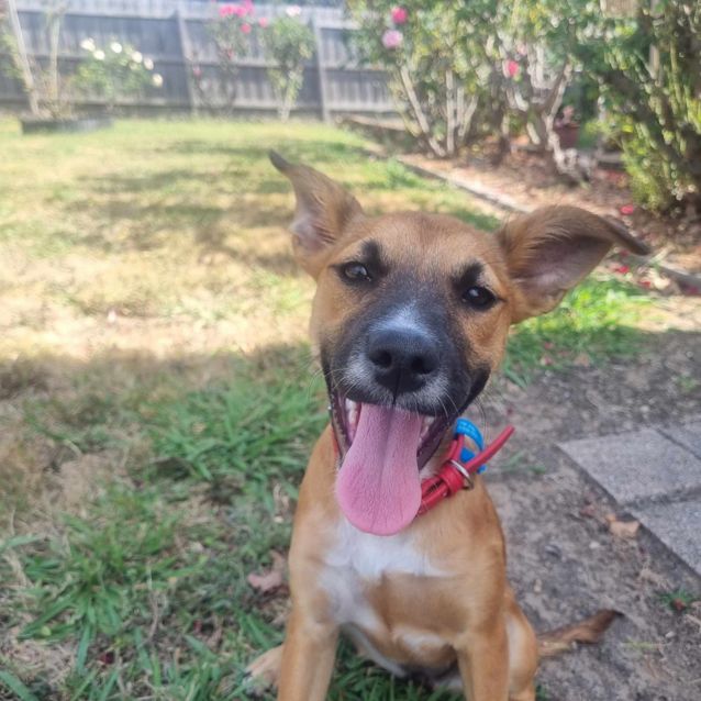 Photo of Mellow