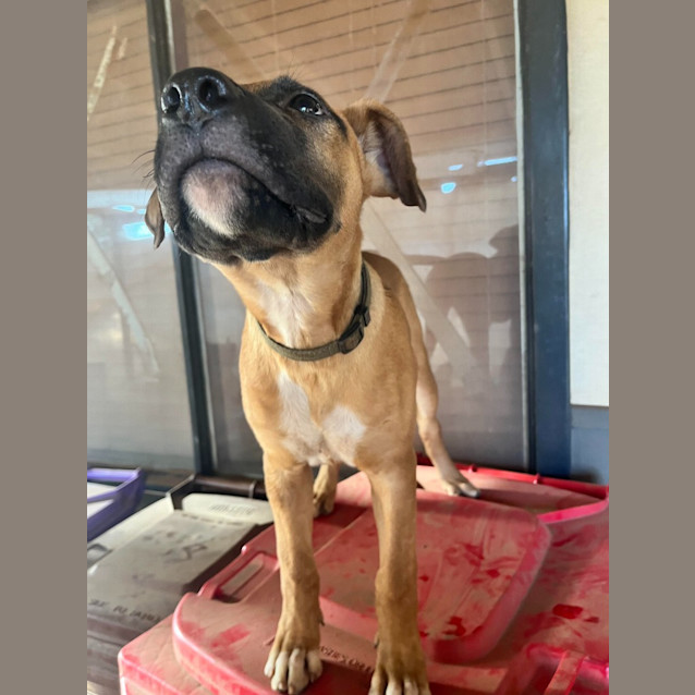 Photo of Ned (Radar)