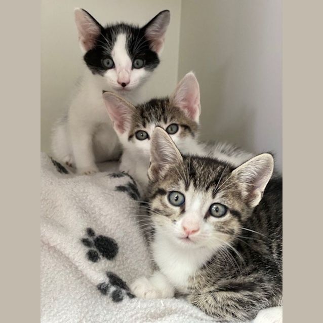 Photo of Alex (0065)