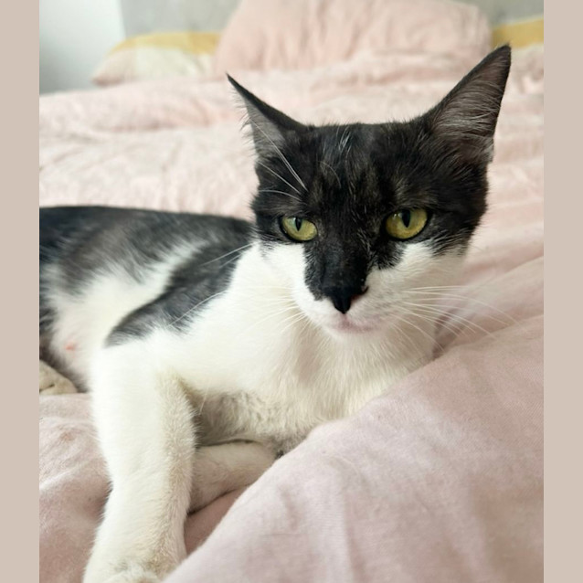 Photo of Milly ❤️