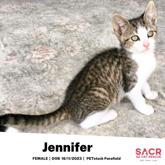 Photo of Jennifer