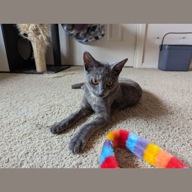 Photo of Agnes
