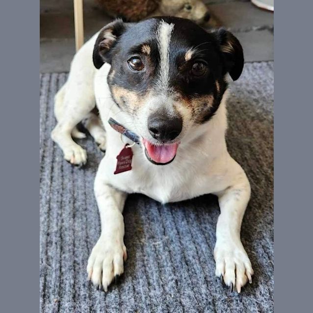 Photo of Ace