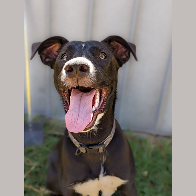 Photo of Phantom