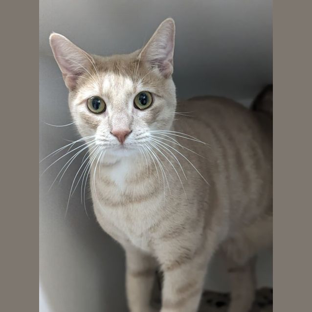 Photo of 🌱 Samson F02809 🌱