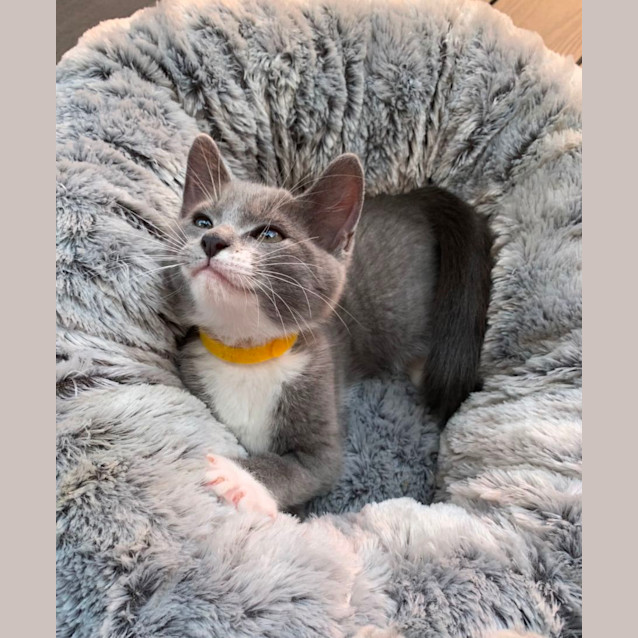 Photo of Denver 💙💙💙💙