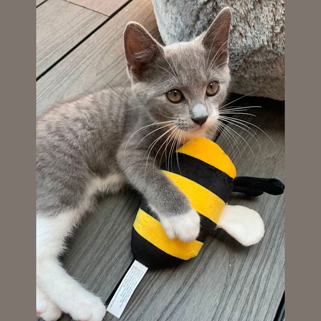 Photo of Denver 💙💙💙💙