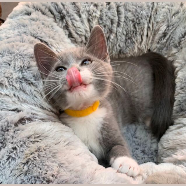 Photo of Denver 💙💙💙💙