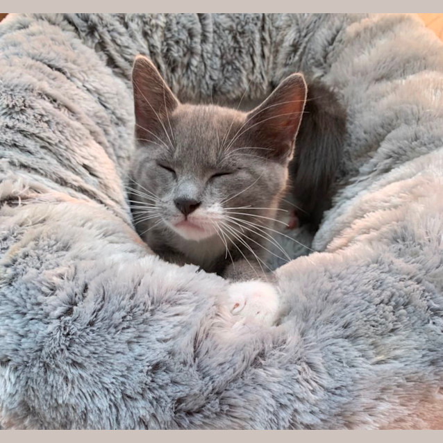 Photo of Denver 💙💙💙💙