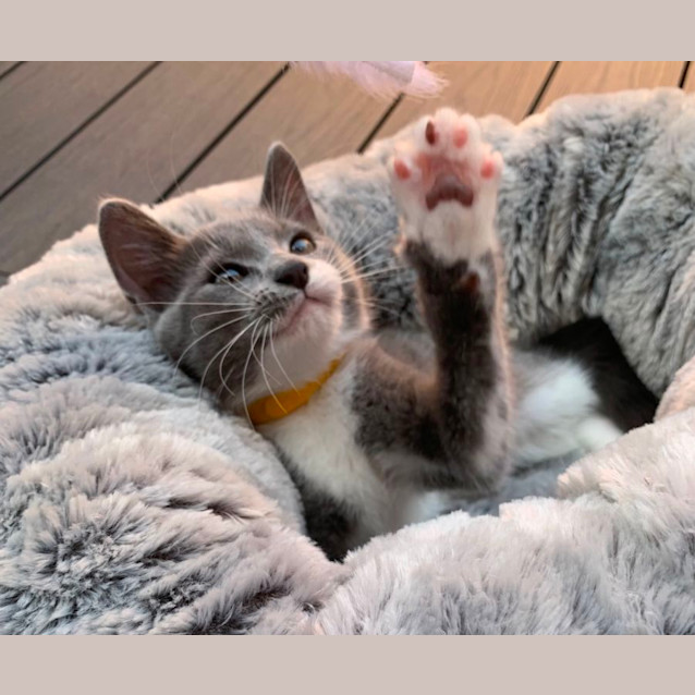 Photo of Denver 💙💙💙💙