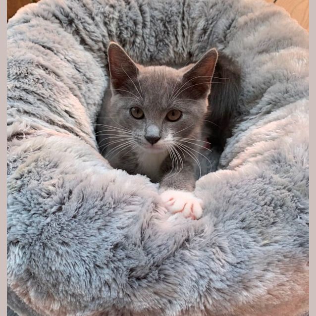 Photo of Denver 💙💙💙💙