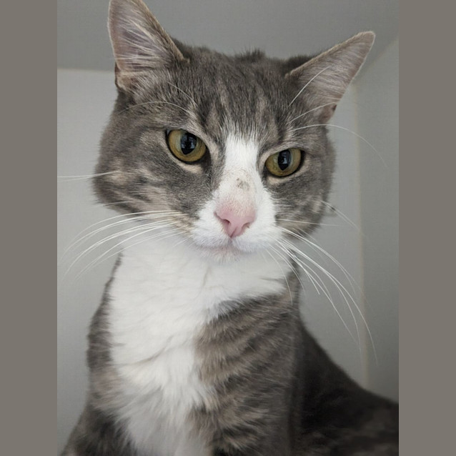 Photo of 🐻 Benji 5089 🐻