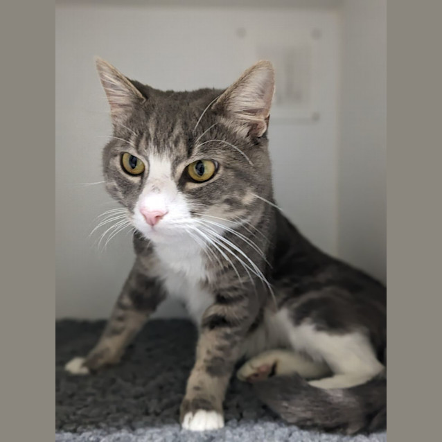 Photo of 🐻 Benji 5089 🐻