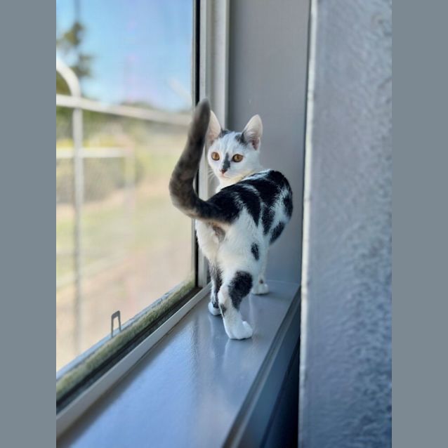 Photo of Betty