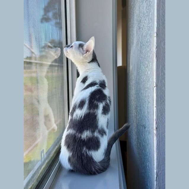Photo of Betty