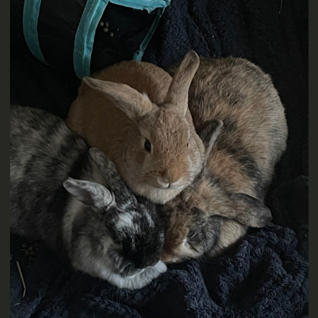 Photo of Roxanne, Remi, & Rain