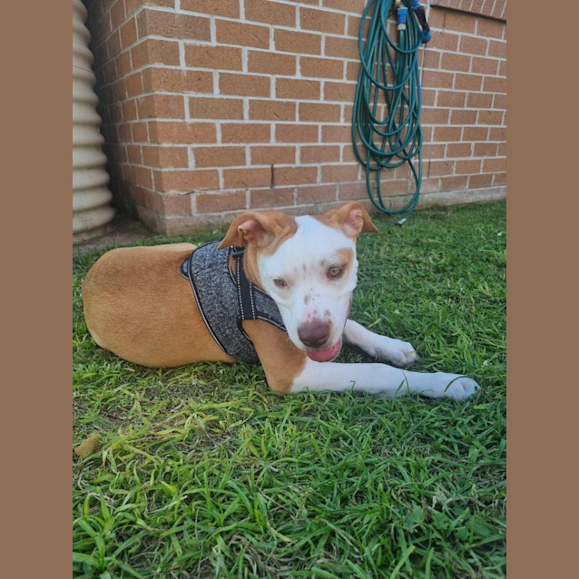 Photo of Sassy
