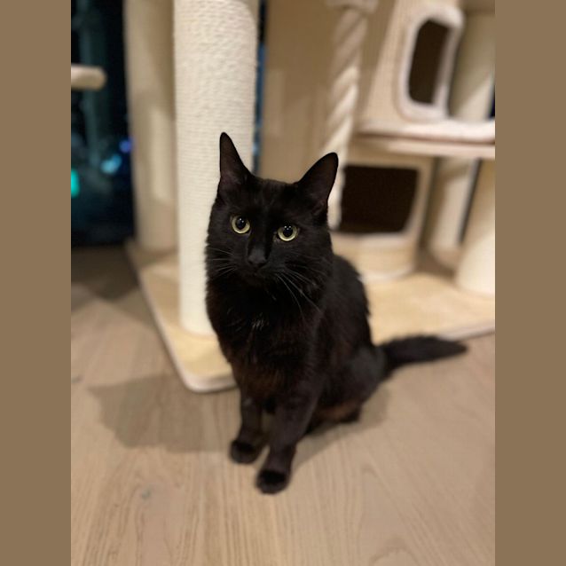 Photo of Maya