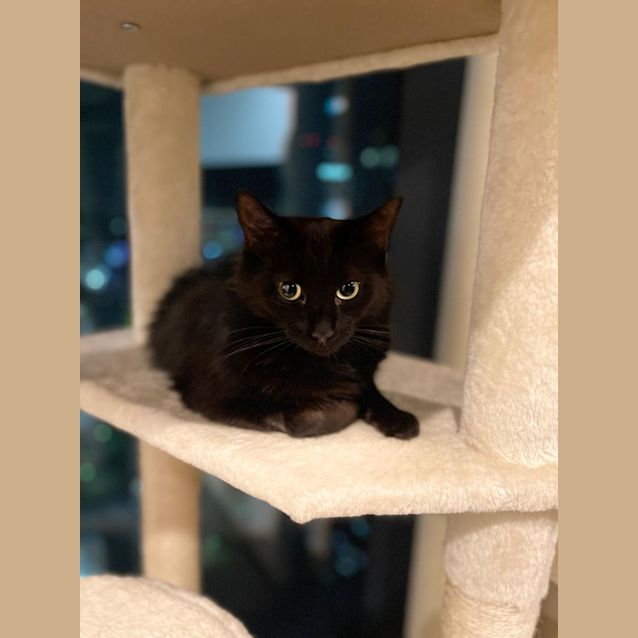 Photo of Maya