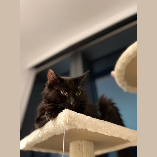 Photo of Maya