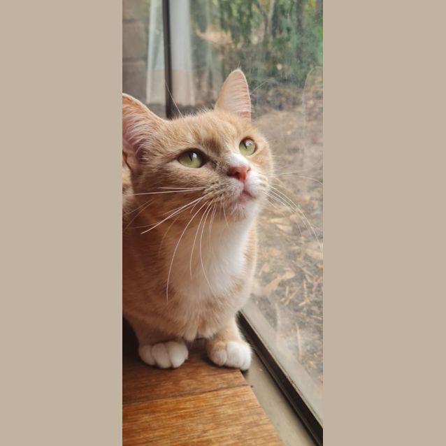 Photo of Cybelle