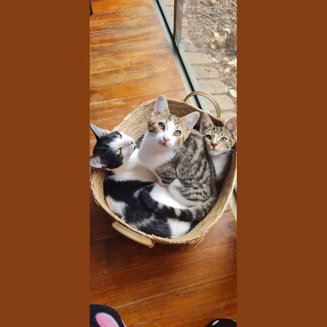 Photo of Eli