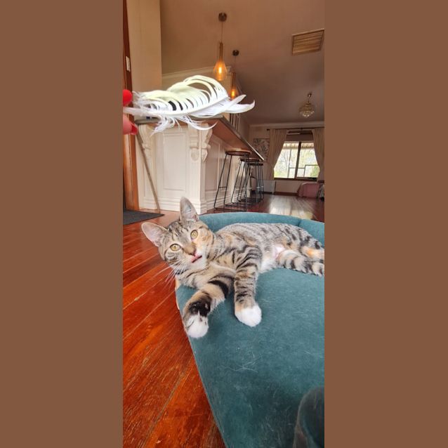 Photo of Charlotte