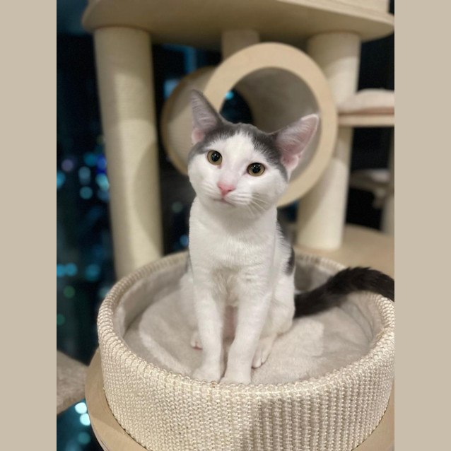 Photo of Albie